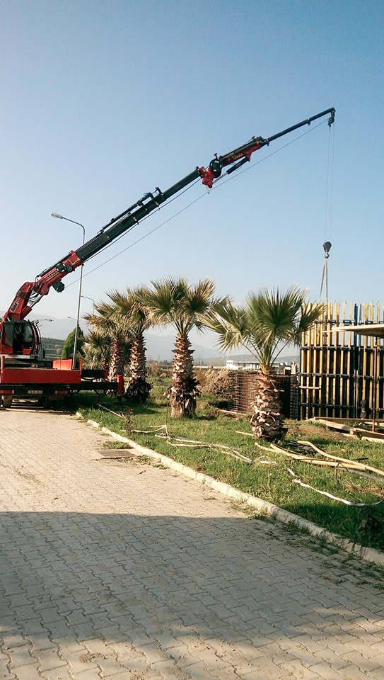İzmir vinç kiralama - İnşaat sahası yük kaldırma hizmeti